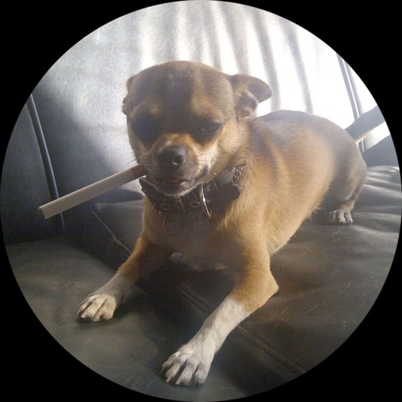 ART - Picture 3 of 16